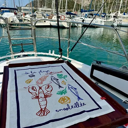 Experience Fantastique De Berce Par La Pres De Barcelone Botel